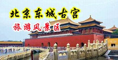 欧美色色茓中国北京-东城古宫旅游风景区